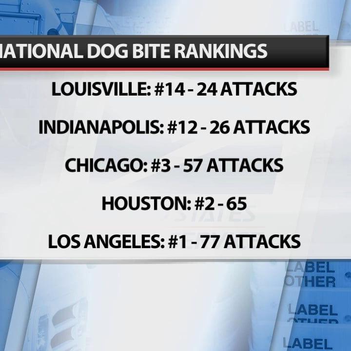 Louisville ranked 14th nationally for dog attacks on mail carriers last year